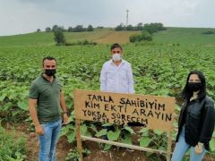 SAHİBİNDEN HABERSİZ TARLASINA EKTİLER…