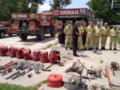 ORMAN İKLİMİN SİGORTASIDIR