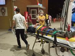 DOMUZ SÜRÜSÜNE ÇARPTI…