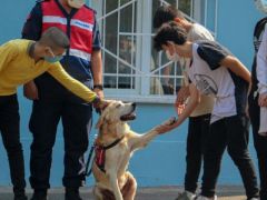 JANDARMA, OKUL ÇEVRELERİNDE DENETİM YAPTI…