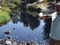 DOĞA DOSTU BEKİR HAMLAKAY VEFAT ETTİ…