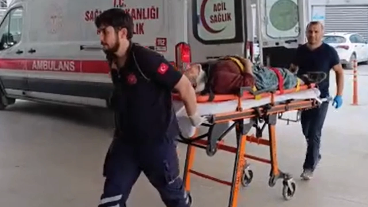 YAŞLI KADIN KİRAZ TOPLARKEN AĞAÇTAN DÜŞTÜ!..